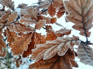 Ілюстративне фото / www.pexels.com
