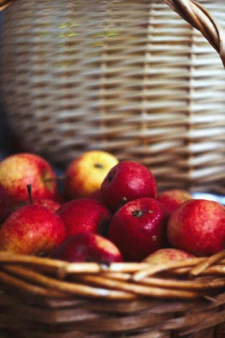 Ілюстративне фото / www.pexels.com