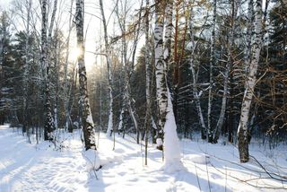 Ілюстративне фото / www.pexels.com