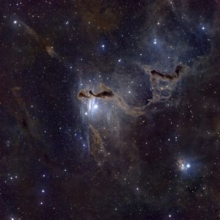 Ілюстративне фото / www.pexels.com