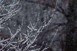 Ілюстративне фото / www.pexels.com