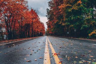 Ілюстративне фото / www.pexels.com