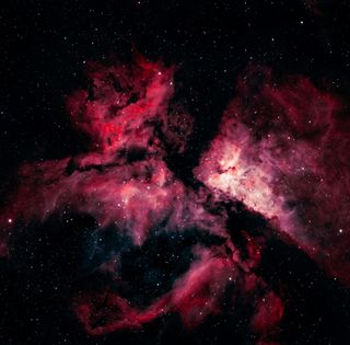 Ілюстративне фото / www.pexels.com