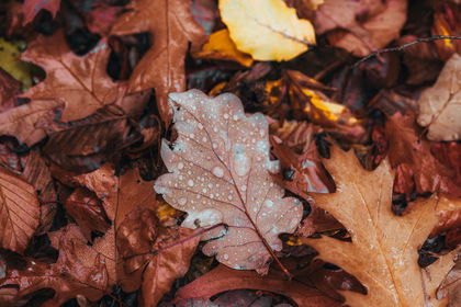 Ілюстративне фото / www.pexels.com