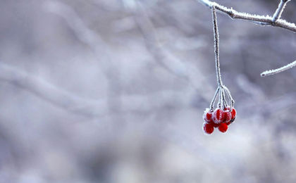 Ілюстративне фото / www.pexels.com