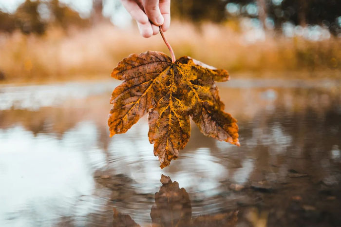 Ілюстративне фото / www.pexels.com