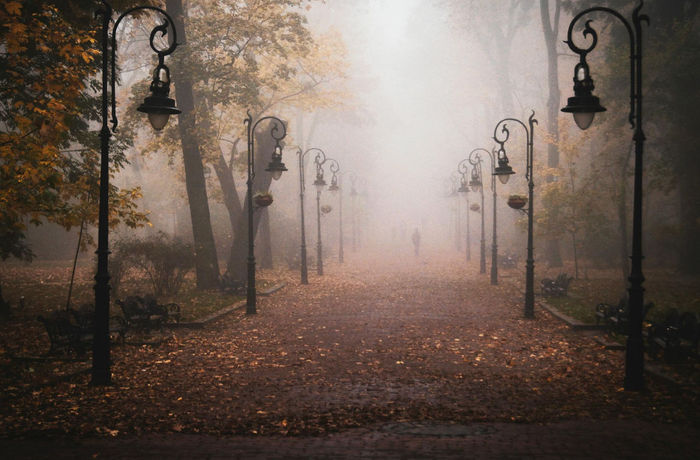 Ілюстративне фото / www.pexels.com