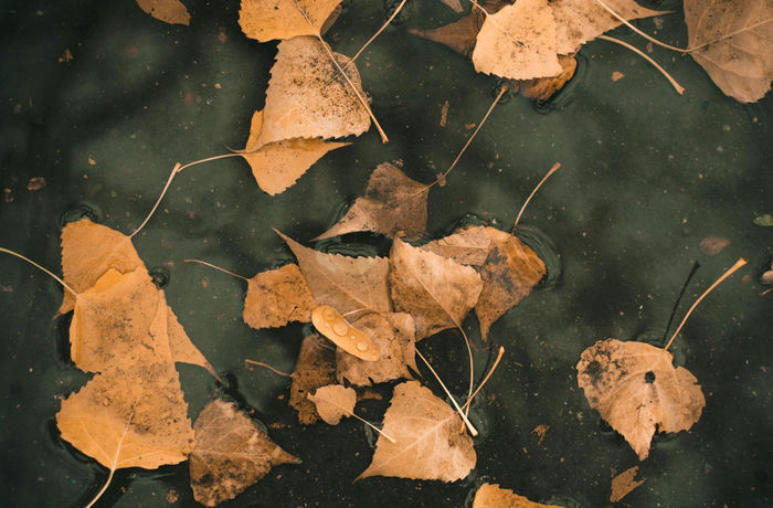 Ілюстративне фото / www.pexels.com