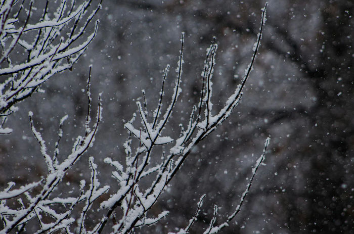 Ілюстративне фото / www.pexels.com