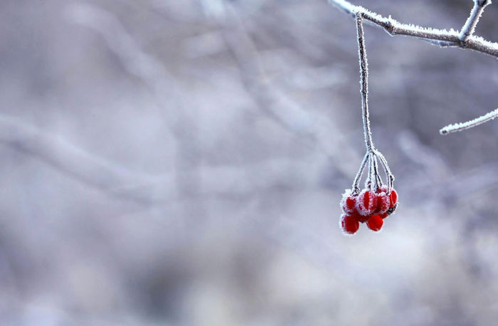 Ілюстративне фото / www.pexels.com