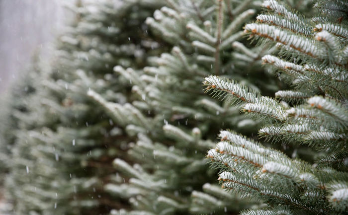 Ілюстративне фото / www.pexels.com