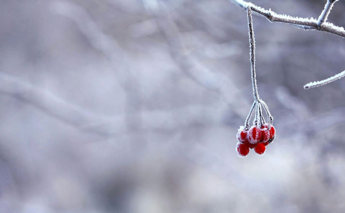 Ілюстративне фото / www.pexels.com