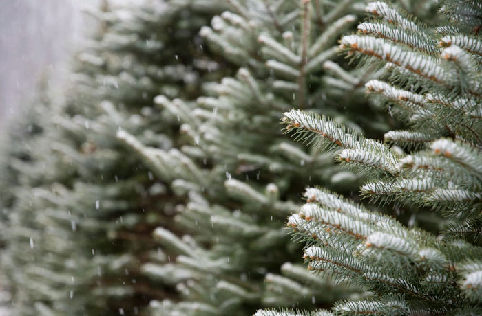 Ілюстративне фото / www.pexels.com