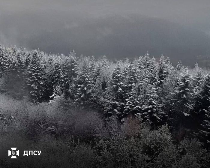 На Львівщині випав перший сніг / t.me/DPSUkr