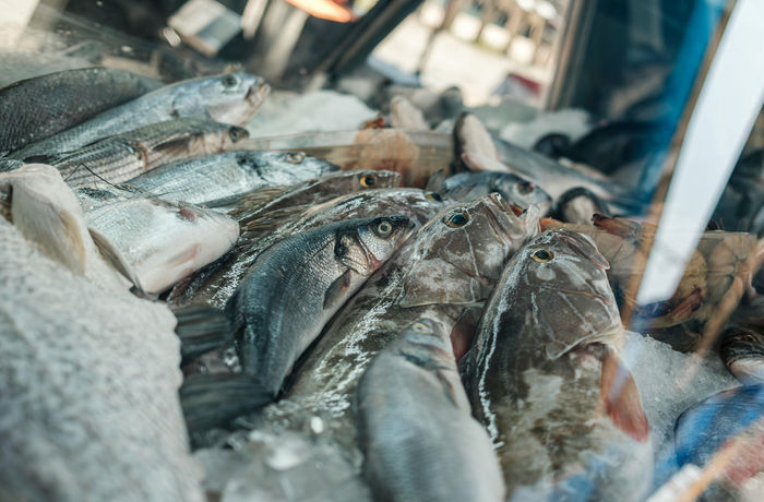 Ілюстративне фото / www.pexels.com