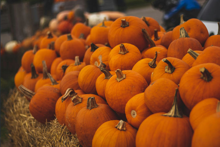 Ілюстративне фото / www.pexels.com