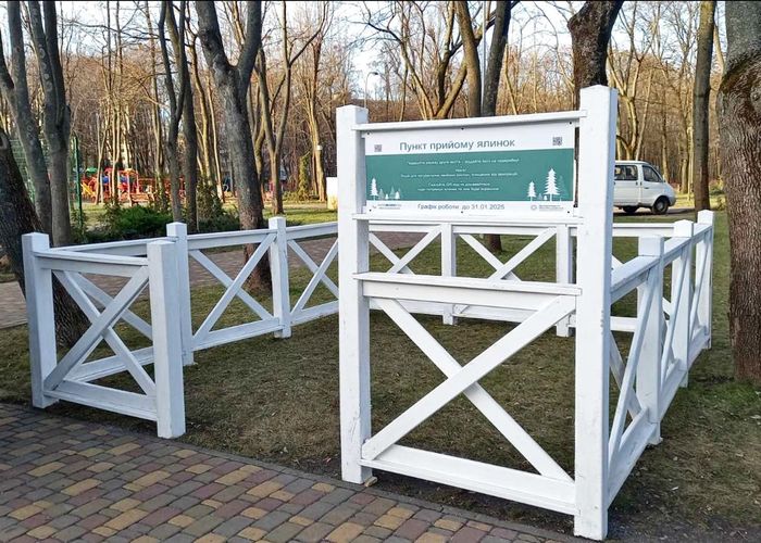 Куди здати новорічну ялинку в Києві / kyivcity.gov.ua