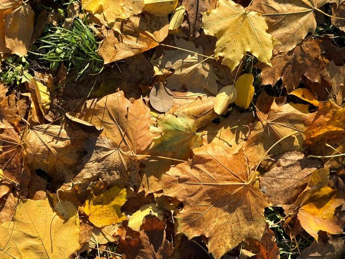 Ілюстративне фото / www.pexels.com