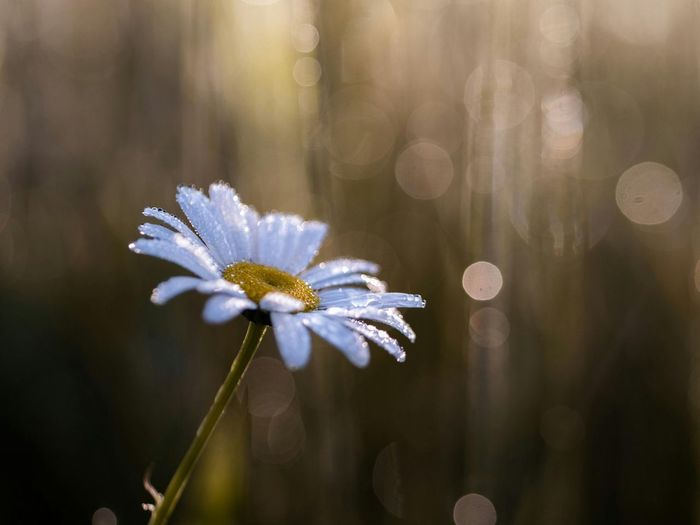 Ілюстративне фото / www.pexels.com