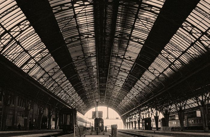 Ілюстративне фото / www.pexels.com