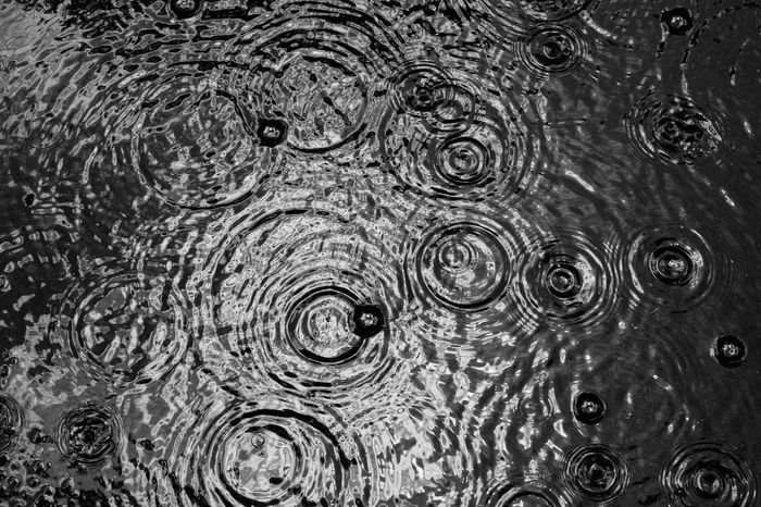 Ілюстративне фото / www.pexels.com