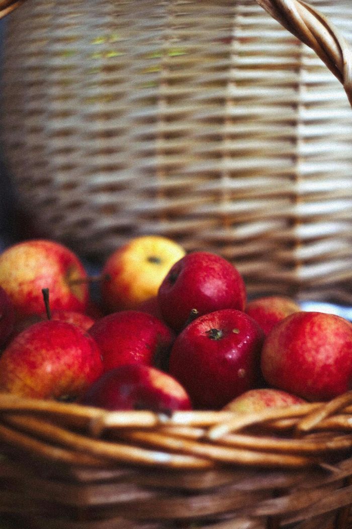 Ілюстративне фото / www.pexels.com