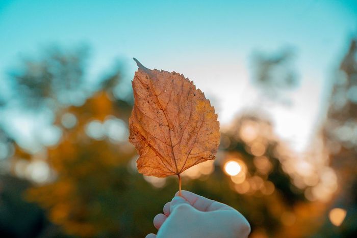 Ілюстративне фото / www.pexels.com