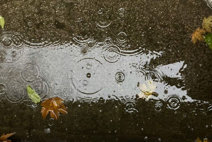 Ілюстративне фото / www.pexels.com