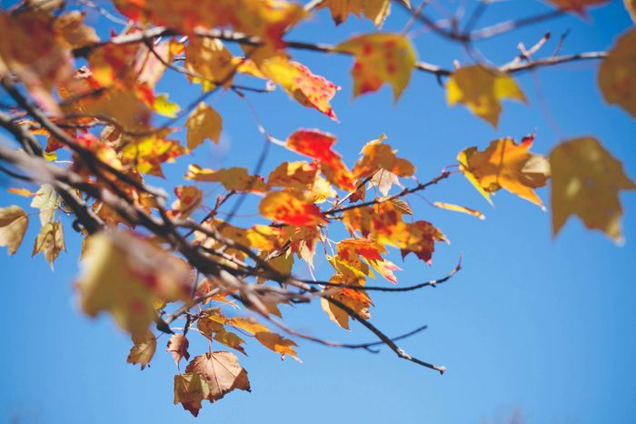Ілюстративне фото / www.pexels.com