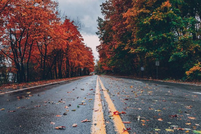 Ілюстративне фото / www.pexels.com