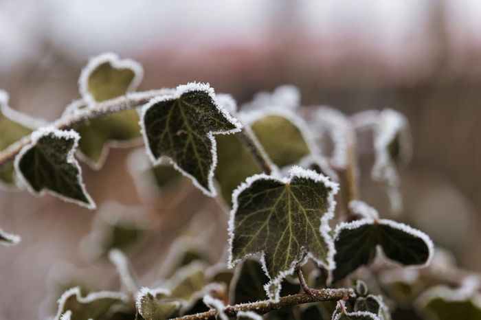 Ілюстративне фото / www.pexels.com