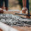 importance of cement in construction