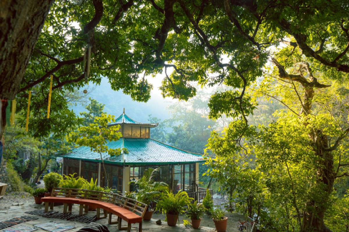 Students of Nirvana Yoga School