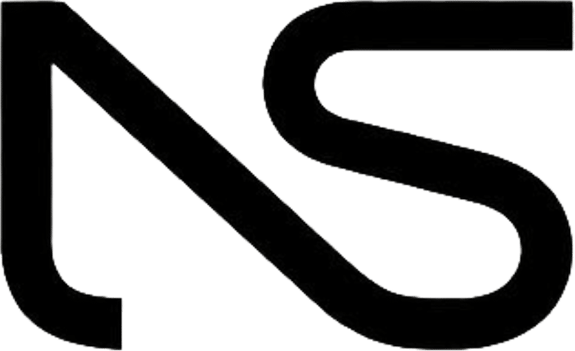 NitiSetu Consultancy logo