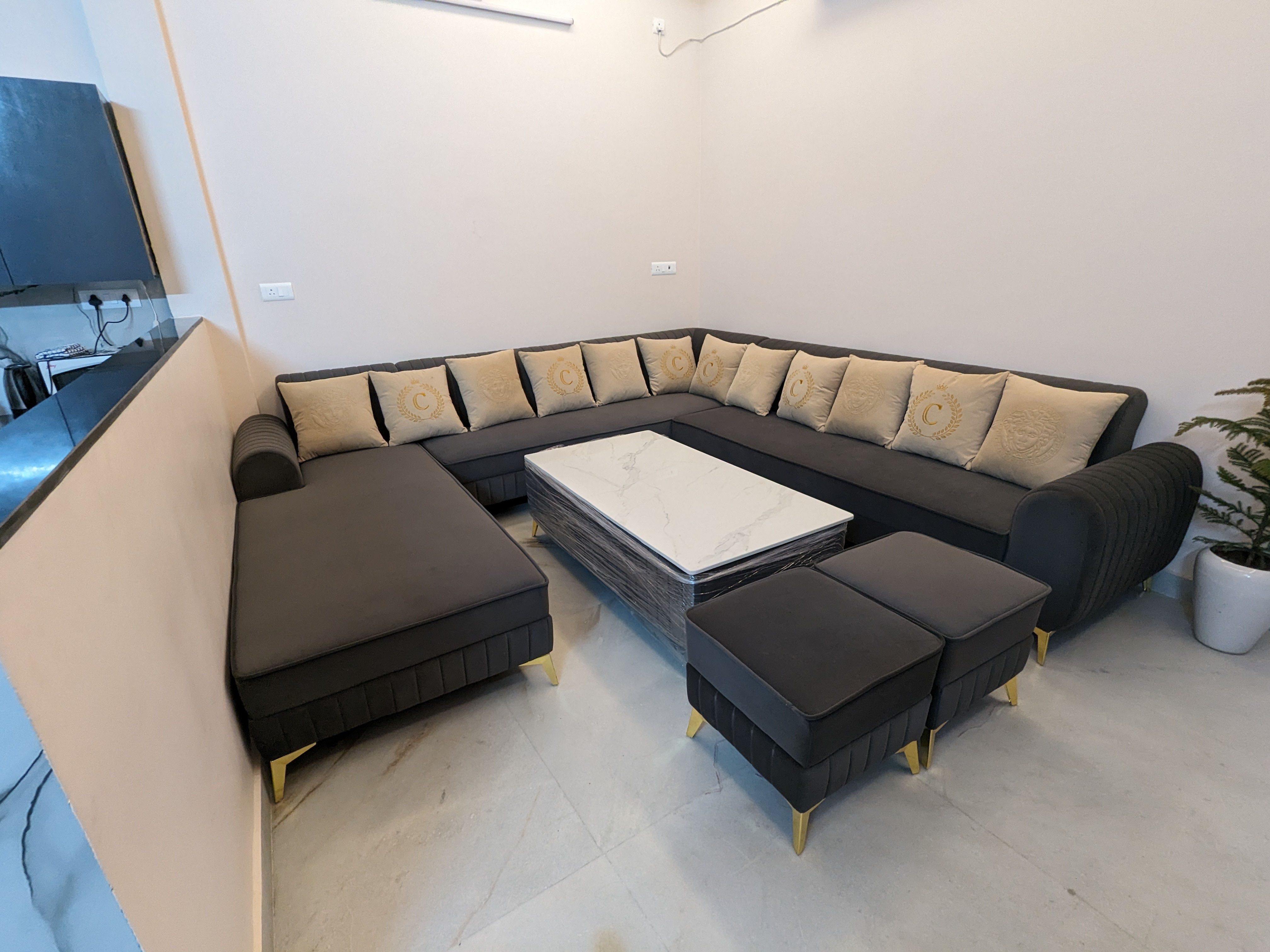 Living Room in Mr Rahu Gill