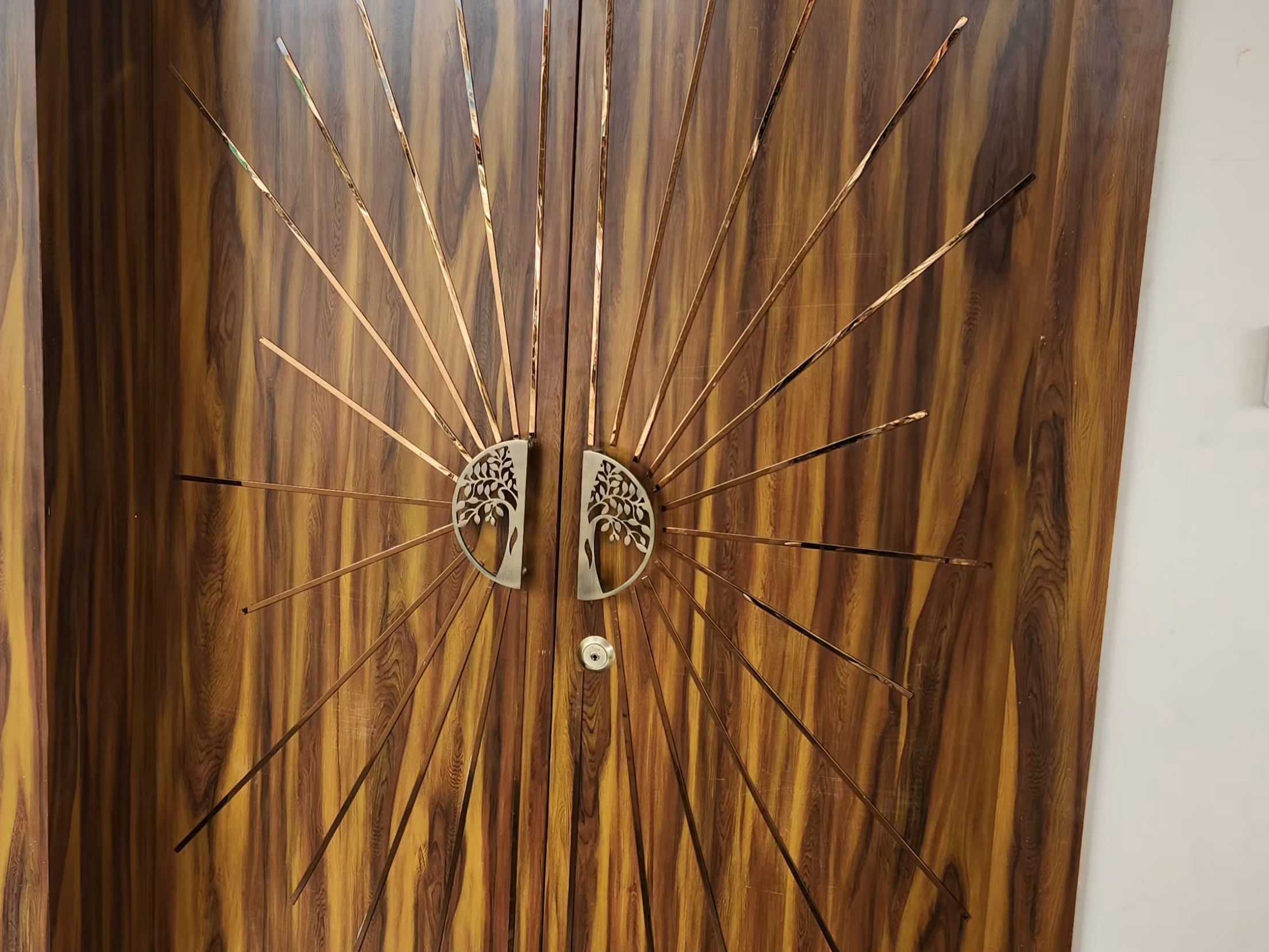 Door in House Interior