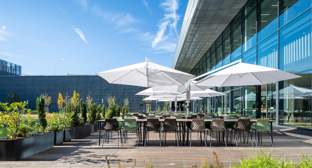 Terrasse avec parasols blancs