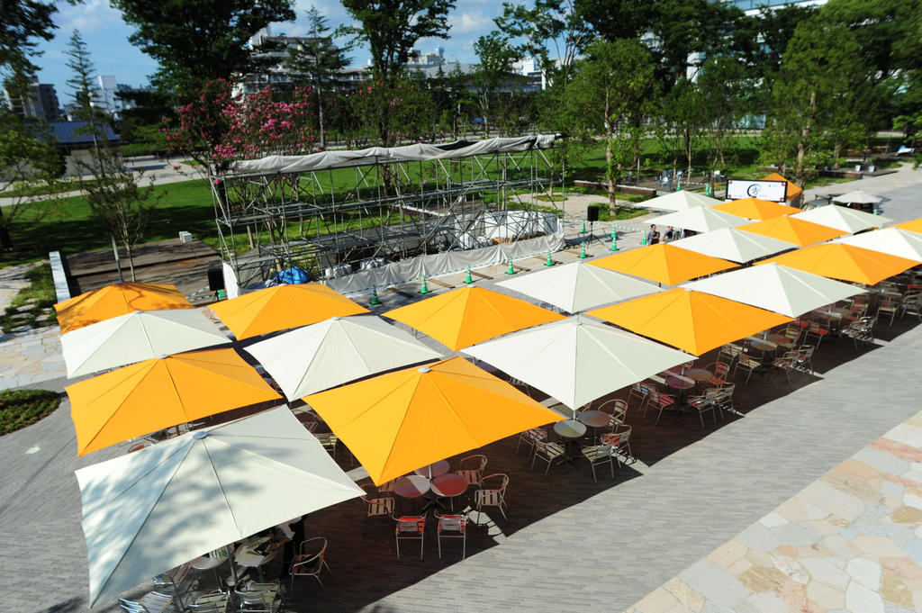 Many white and yellow parasols