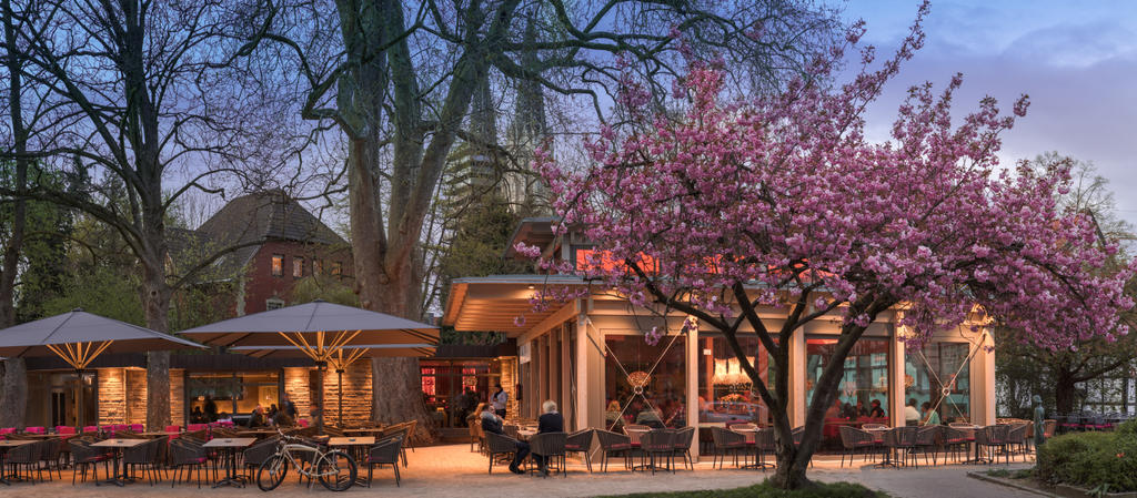 Patio with grey parasols