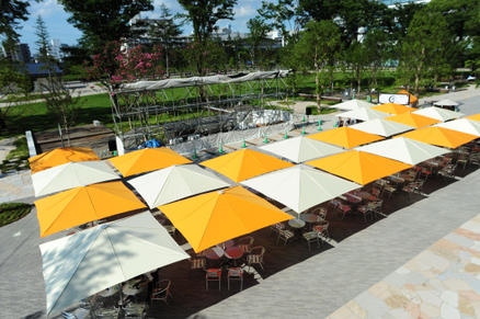 Many white and yellow parasols