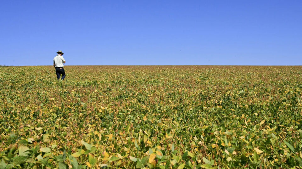 Pedidos de recuperação judicial no agronegócio aumentam significativamente