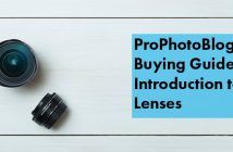 Lens Buying Guide – Introduction – So You Want to Buy a Lens… Vistek Buying Guides Lens Introduction Cover