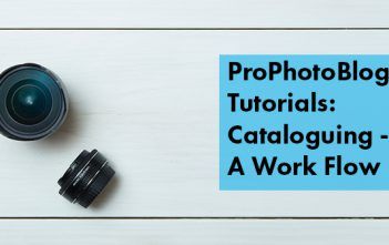 Cataloguing – A Work Flow | From Luminous Landscape Vistek Tutorials - Cataloguing Cover