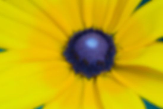 Figure 4 - Guassian Blur Applied to Black Eyed Susan Image