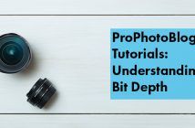 Understanding Bit Depth | From Luminous Landscape Vistek Tutorials - Understanding Bit Depth Cover