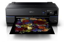 Introduction to Professional Printing on Epson Printers with David Williams David Williams
