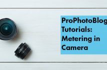 Metering in Camera | From Lastolite School of Photography Vistek Tutorials - Metering in Camera Cover