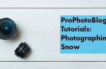 Photographing Snow | From Luminous Landscape Vistek Tutorials - Photographing Snow Cover
