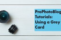 Using a Grey Card | From Lastolite School of Photography Vistek Tutorials - Using a Grey Card Cover