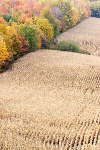 rolling-field-Michael Reichmann
